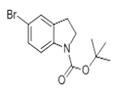 N-BOC-5-溴吲哚啉